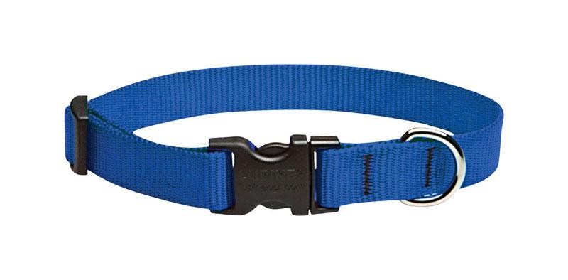 Lupine Pet  Basic Solids  Blue  Blue  Nylon  Dog  Adjustable Collar